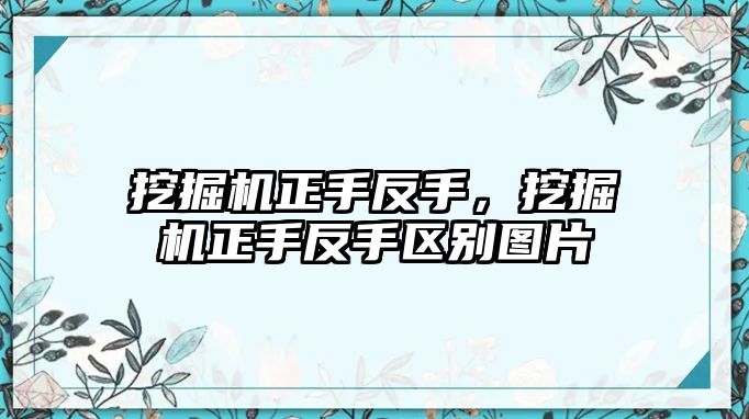 挖掘機(jī)正手反手，挖掘機(jī)正手反手區(qū)別圖片