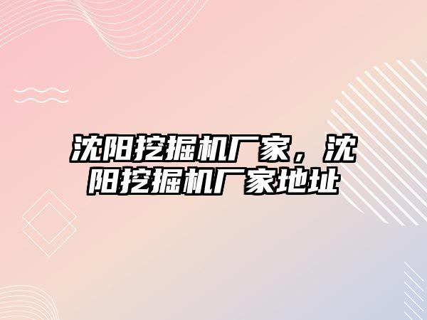 沈陽挖掘機廠家，沈陽挖掘機廠家地址