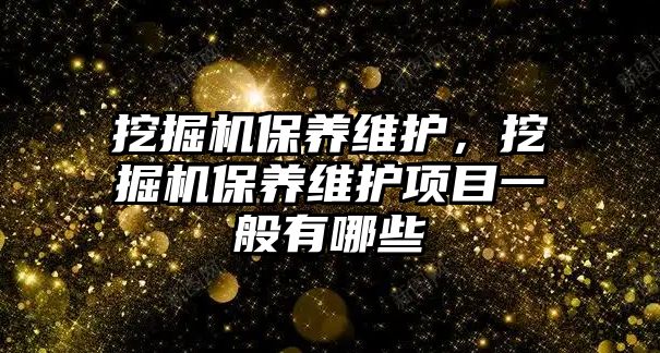 挖掘機保養(yǎng)維護，挖掘機保養(yǎng)維護項目一般有哪些