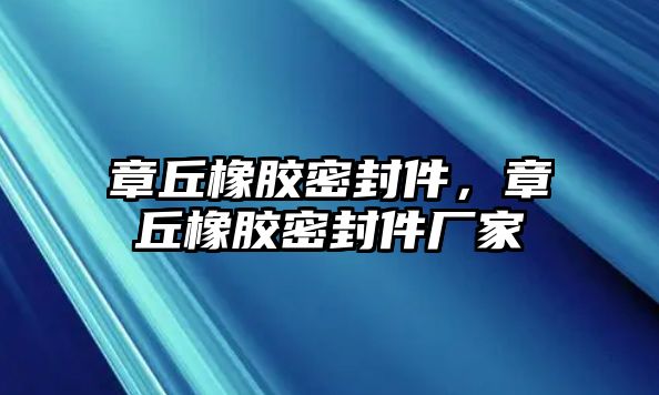 章丘橡膠密封件，章丘橡膠密封件廠家