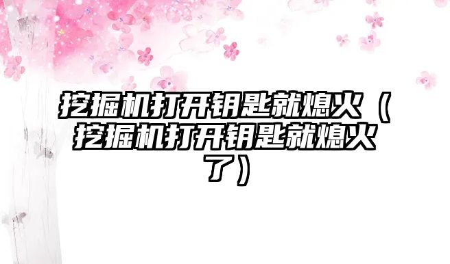 挖掘機打開鑰匙就熄火（挖掘機打開鑰匙就熄火了）