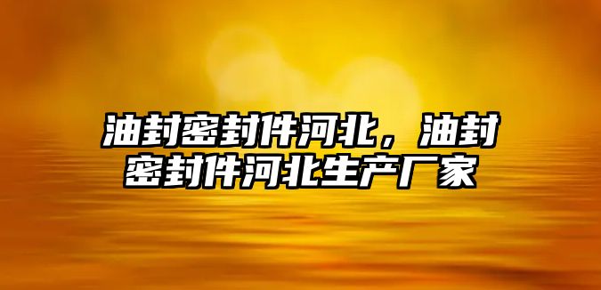 油封密封件河北，油封密封件河北生產(chǎn)廠家