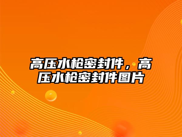 高壓水槍密封件，高壓水槍密封件圖片