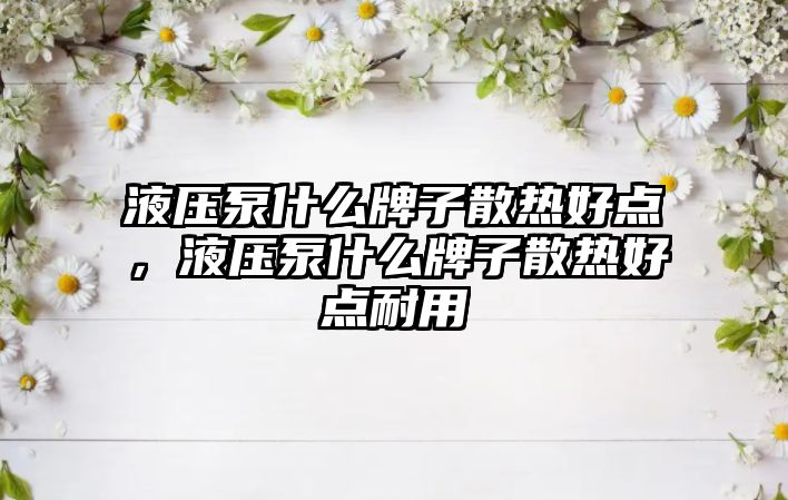 液壓泵什么牌子散熱好點，液壓泵什么牌子散熱好點耐用