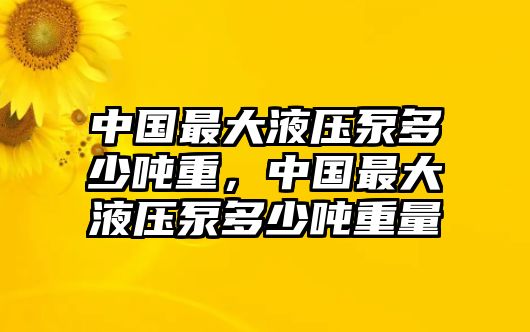 中國(guó)最大液壓泵多少?lài)嵵?，中?guó)最大液壓泵多少?lài)嵵亓? class=