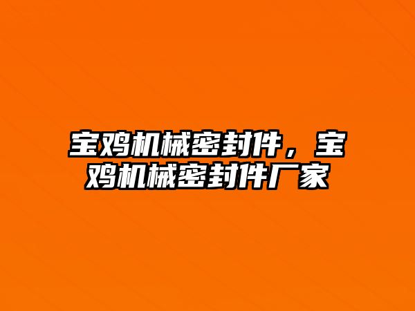 寶雞機械密封件，寶雞機械密封件廠家