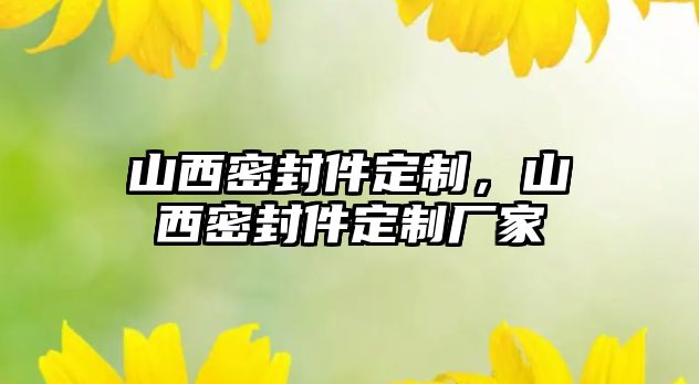 山西密封件定制，山西密封件定制廠家