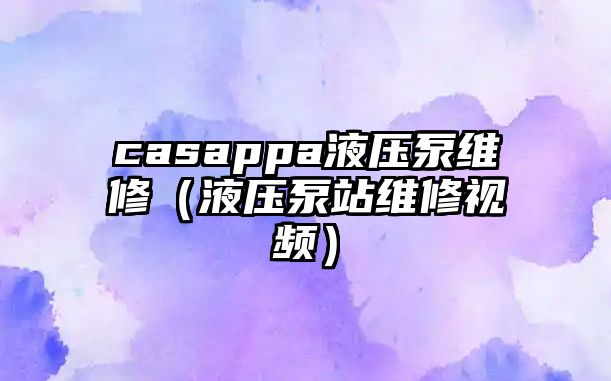 casappa液壓泵維修（液壓泵站維修視頻）