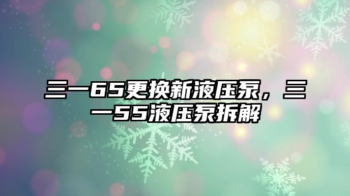 三一65更換新液壓泵，三一55液壓泵拆解