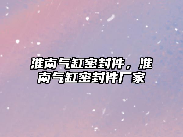 淮南氣缸密封件，淮南氣缸密封件廠家