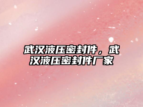 武漢液壓密封件，武漢液壓密封件廠家