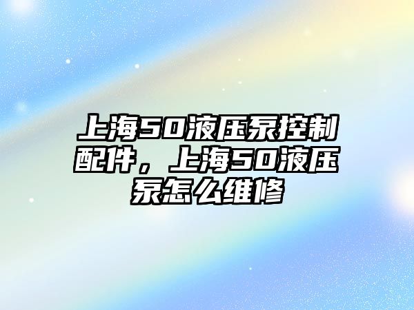 上海50液壓泵控制配件，上海50液壓泵怎么維修