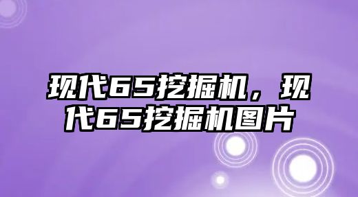 現(xiàn)代65挖掘機，現(xiàn)代65挖掘機圖片