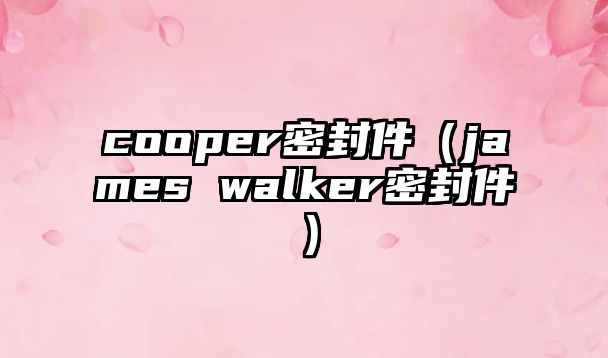 cooper密封件（james walker密封件）