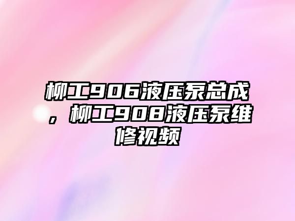 柳工906液壓泵總成，柳工908液壓泵維修視頻