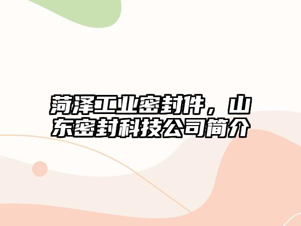 菏澤工業(yè)密封件，山東密封科技公司簡(jiǎn)介