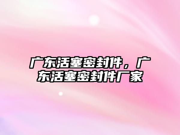 廣東活塞密封件，廣東活塞密封件廠家