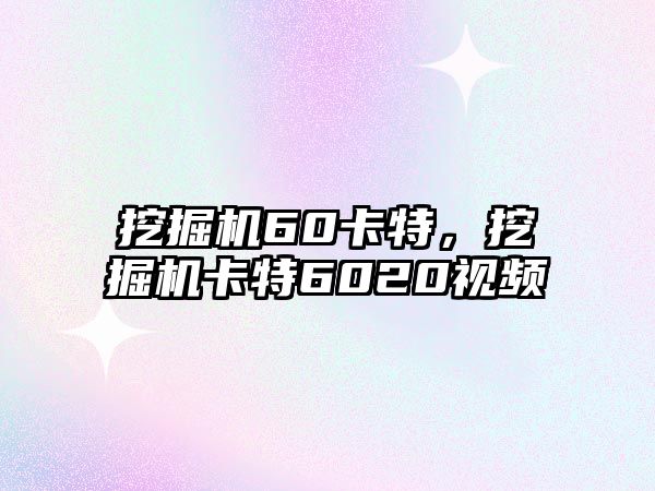 挖掘機(jī)60卡特，挖掘機(jī)卡特6020視頻