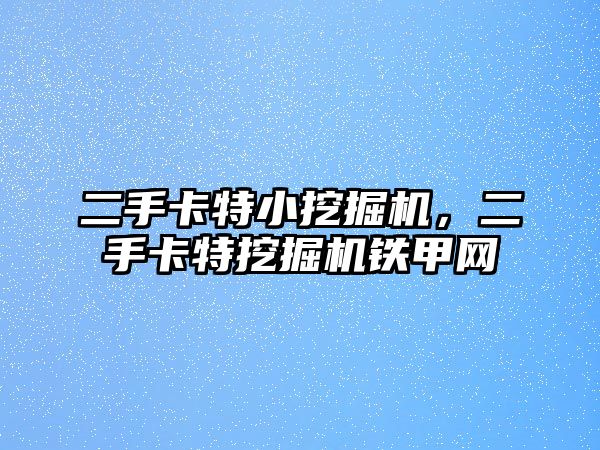 二手卡特小挖掘機，二手卡特挖掘機鐵甲網(wǎng)