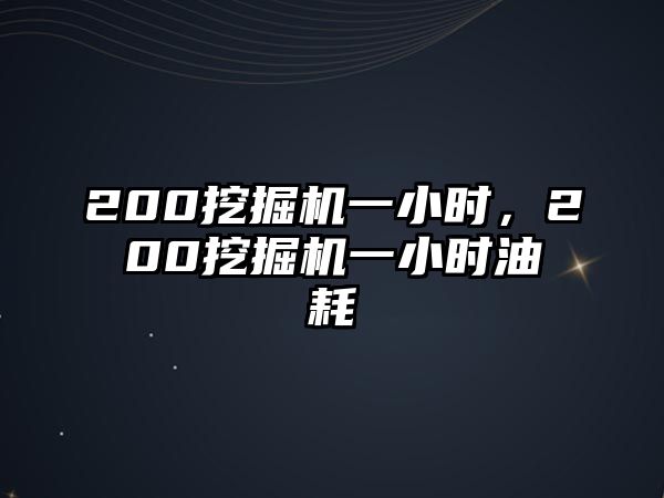 200挖掘機(jī)一小時(shí)，200挖掘機(jī)一小時(shí)油耗