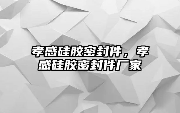 孝感硅膠密封件，孝感硅膠密封件廠家