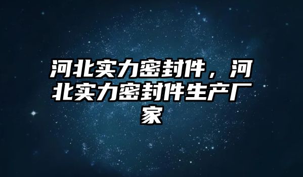 河北實力密封件，河北實力密封件生產(chǎn)廠家