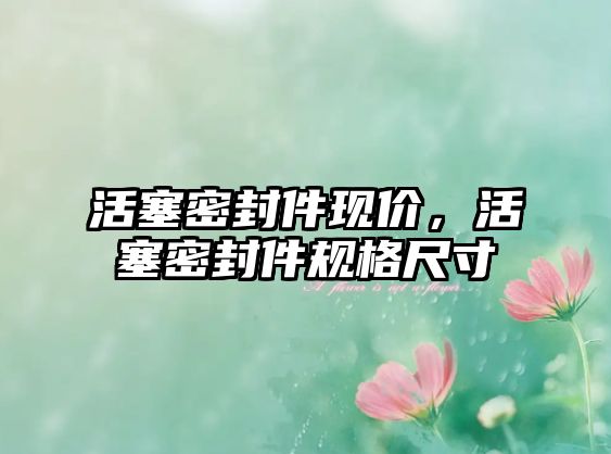 活塞密封件現(xiàn)價(jià)，活塞密封件規(guī)格尺寸