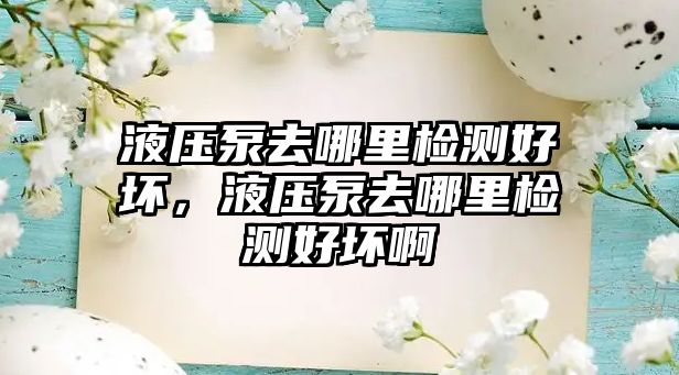 液壓泵去哪里檢測好壞，液壓泵去哪里檢測好壞啊