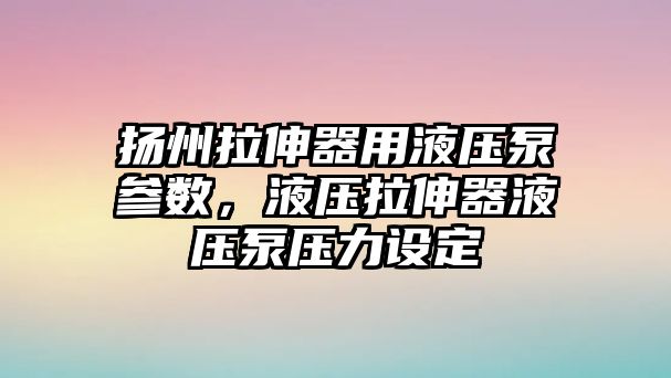 揚州拉伸器用液壓泵參數(shù)，液壓拉伸器液壓泵壓力設(shè)定