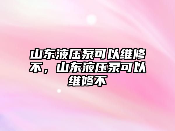 山東液壓泵可以維修不，山東液壓泵可以維修不