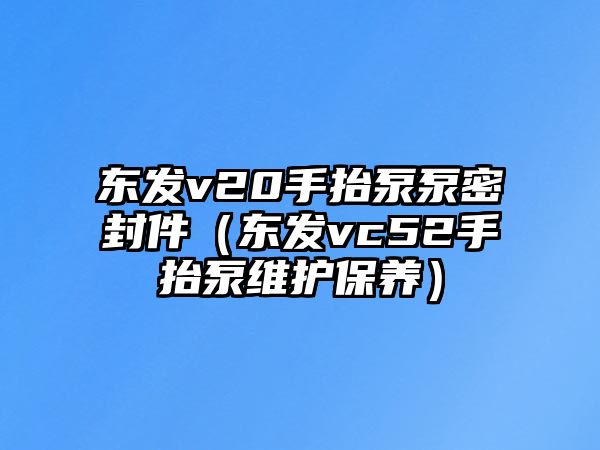 東發(fā)v20手抬泵泵密封件（東發(fā)vc52手抬泵維護(hù)保養(yǎng)）