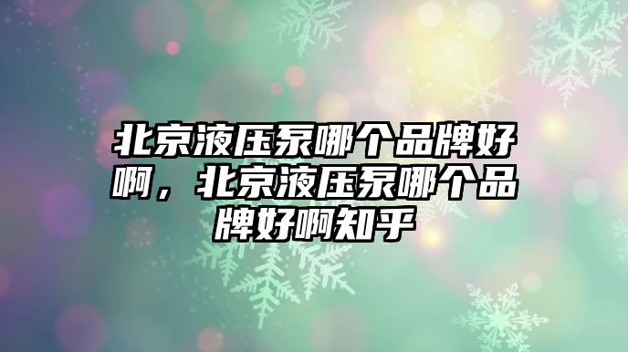 北京液壓泵哪個(gè)品牌好啊，北京液壓泵哪個(gè)品牌好啊知乎