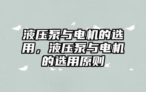 液壓泵與電機的選用，液壓泵與電機的選用原則