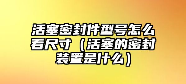 活塞密封件型號怎么看尺寸（活塞的密封裝置是什么）