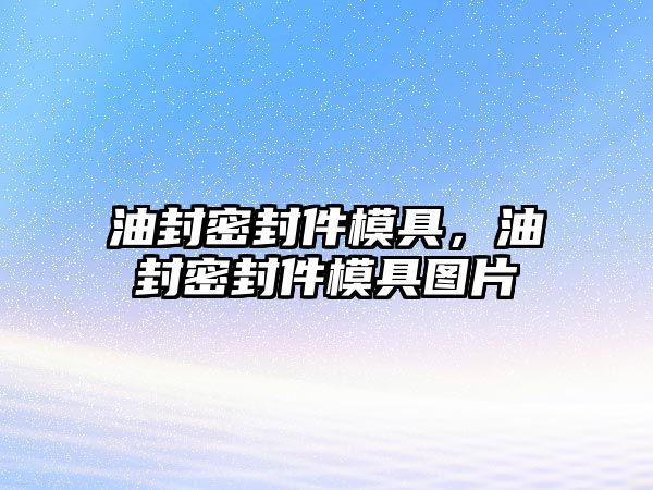 油封密封件模具，油封密封件模具圖片