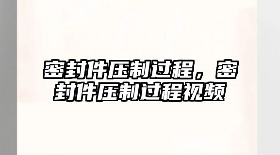 密封件壓制過程，密封件壓制過程視頻