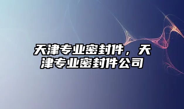 天津專業(yè)密封件，天津專業(yè)密封件公司