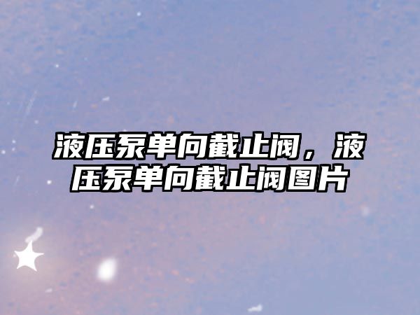 液壓泵單向截止閥，液壓泵單向截止閥圖片