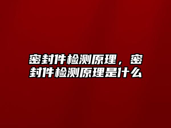 密封件檢測(cè)原理，密封件檢測(cè)原理是什么