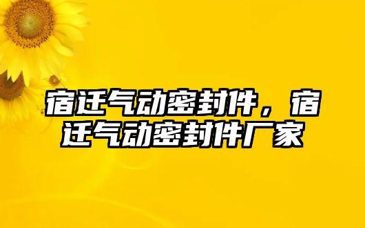 宿遷氣動密封件，宿遷氣動密封件廠家