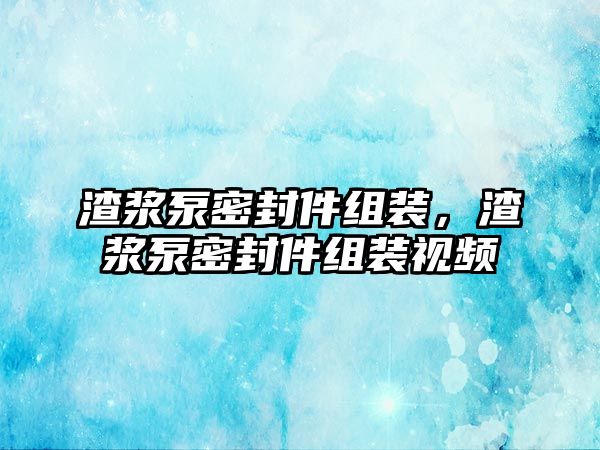 渣漿泵密封件組裝，渣漿泵密封件組裝視頻