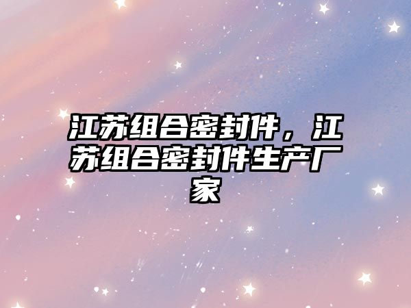 江蘇組合密封件，江蘇組合密封件生產(chǎn)廠家