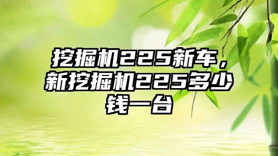 挖掘機(jī)225新車，新挖掘機(jī)225多少錢一臺(tái)