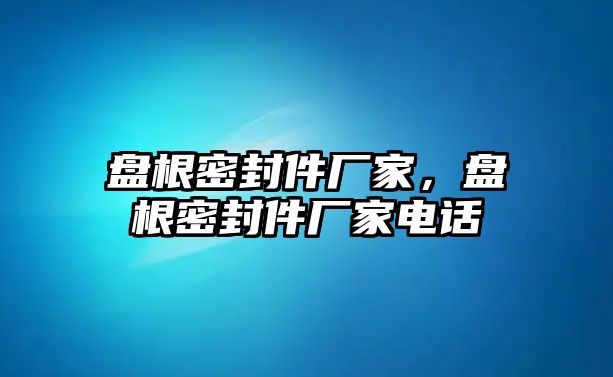 盤根密封件廠家，盤根密封件廠家電話