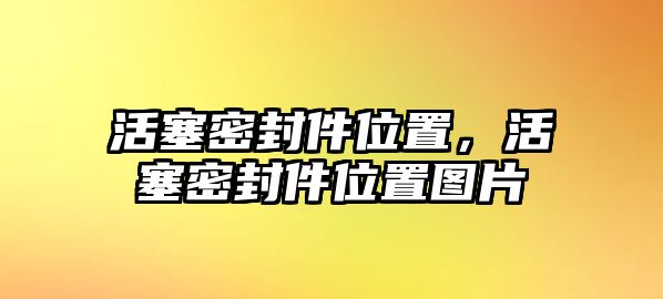 活塞密封件位置，活塞密封件位置圖片