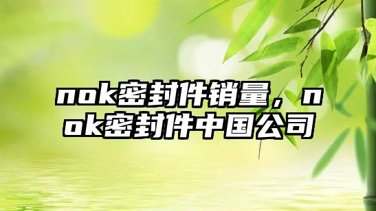 nok密封件銷量，nok密封件中國公司