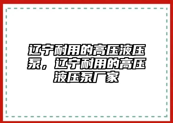 遼寧耐用的高壓液壓泵，遼寧耐用的高壓液壓泵廠家