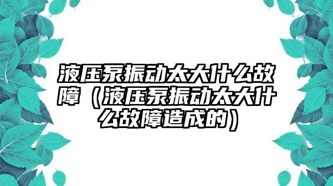 液壓泵振動太大什么故障（液壓泵振動太大什么故障造成的）