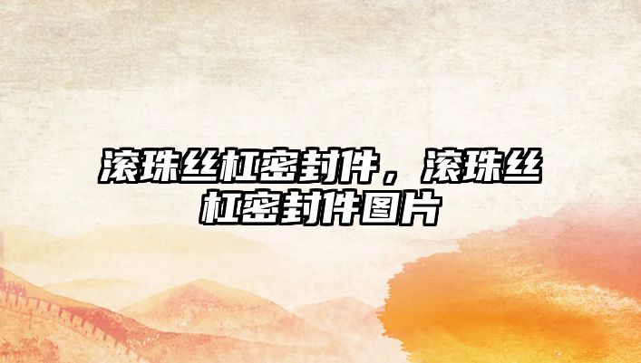 滾珠絲杠密封件，滾珠絲杠密封件圖片