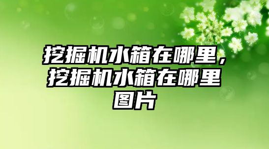 挖掘機水箱在哪里，挖掘機水箱在哪里圖片